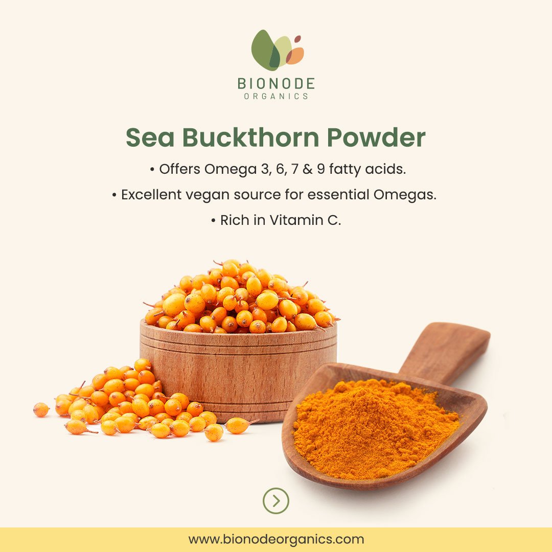 Bionode Organics Sea Buckthorn Berries | Dry Seabuckthorn Berries powder | Rich in Omega 3,6,7,9 | Fibers, Omegas, Collagen, Vitamic C, Vitamin E | Dry Sea Buckthorn (Sea Buckthron Powder 100gm)