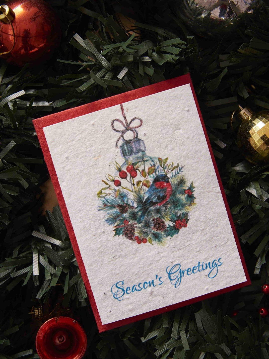 Plantables Christmas Seasons Greetings - Set of 6 Cards