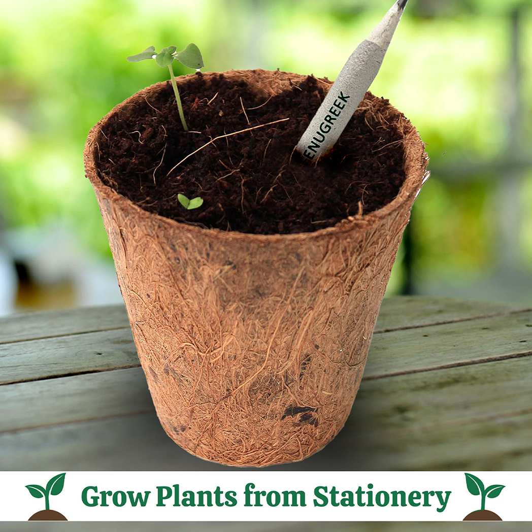 Bombay Greens Plantable Stationery - Cactus