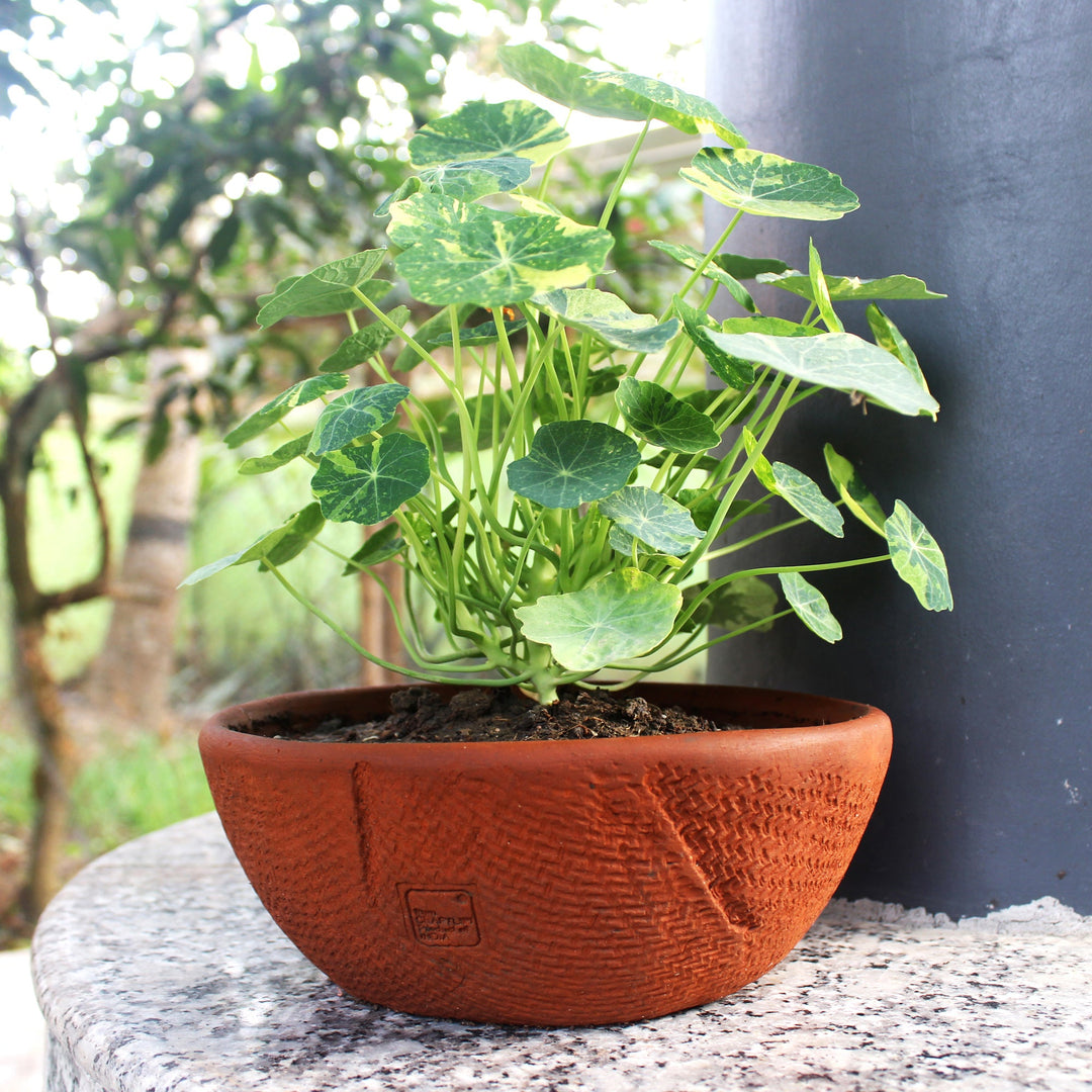 SHALLOW JUTE TEXTURED Terracotta Planter - Suspire