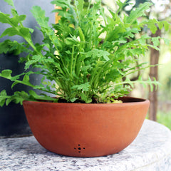SHALLOW PLAIN Terracotta Planter