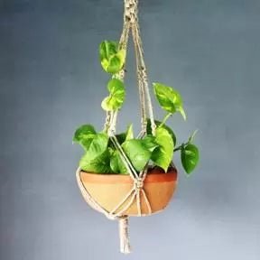 SHALLOW Terracotta Planter with Jute Macrame Hanger