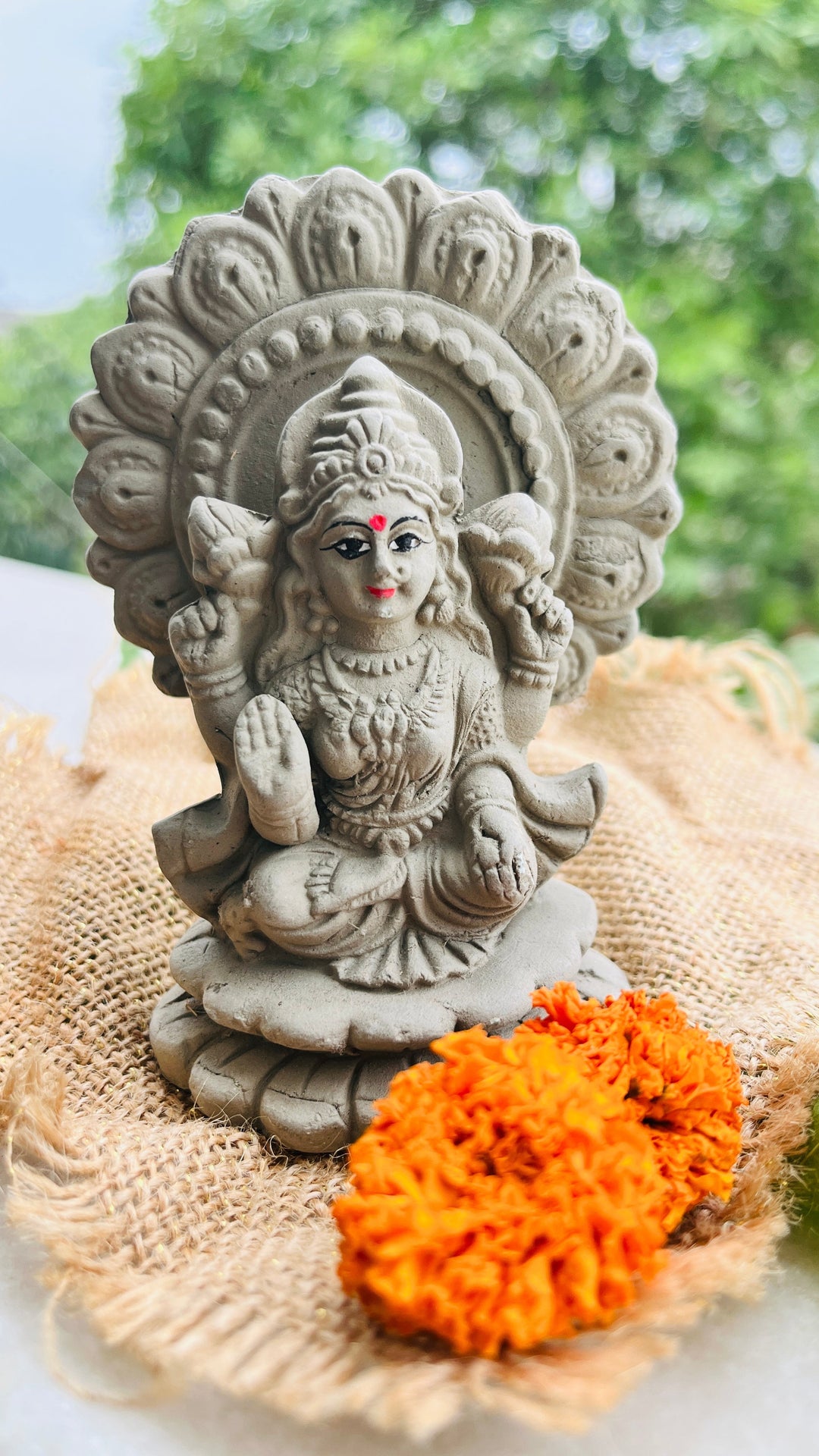 Shuddh Natural Festive Gift Box I Plantable Laxmi Ganesh I Self Watering Plant I Set of 4 - Suspire