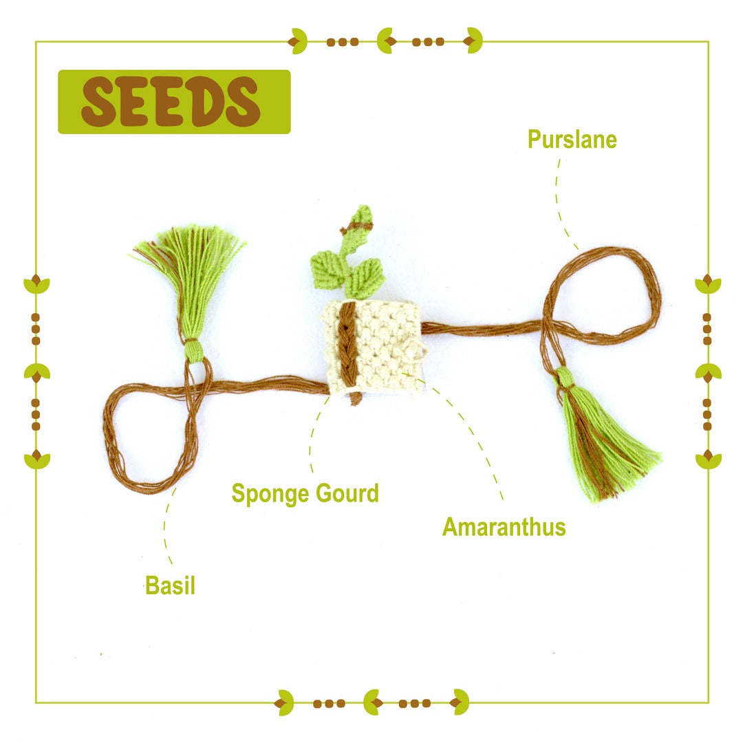Dear Diary - PLANTABLE I ECO FRIENDLY RAKHI EMBEDDED WITH SEEDS
