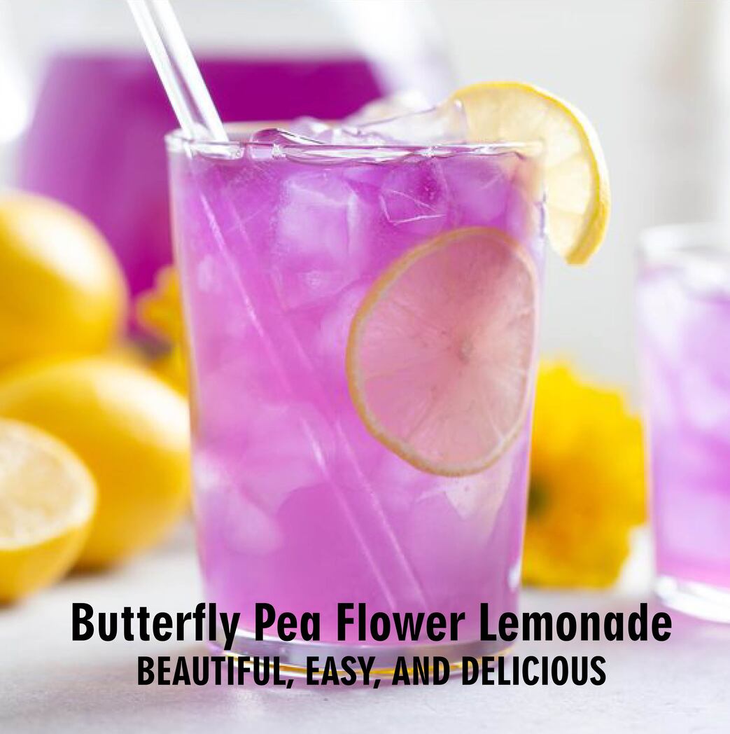 B1G1 Shuddh Naturals Guldasta I Brain Booster I Caffeine Free - 30 Grams