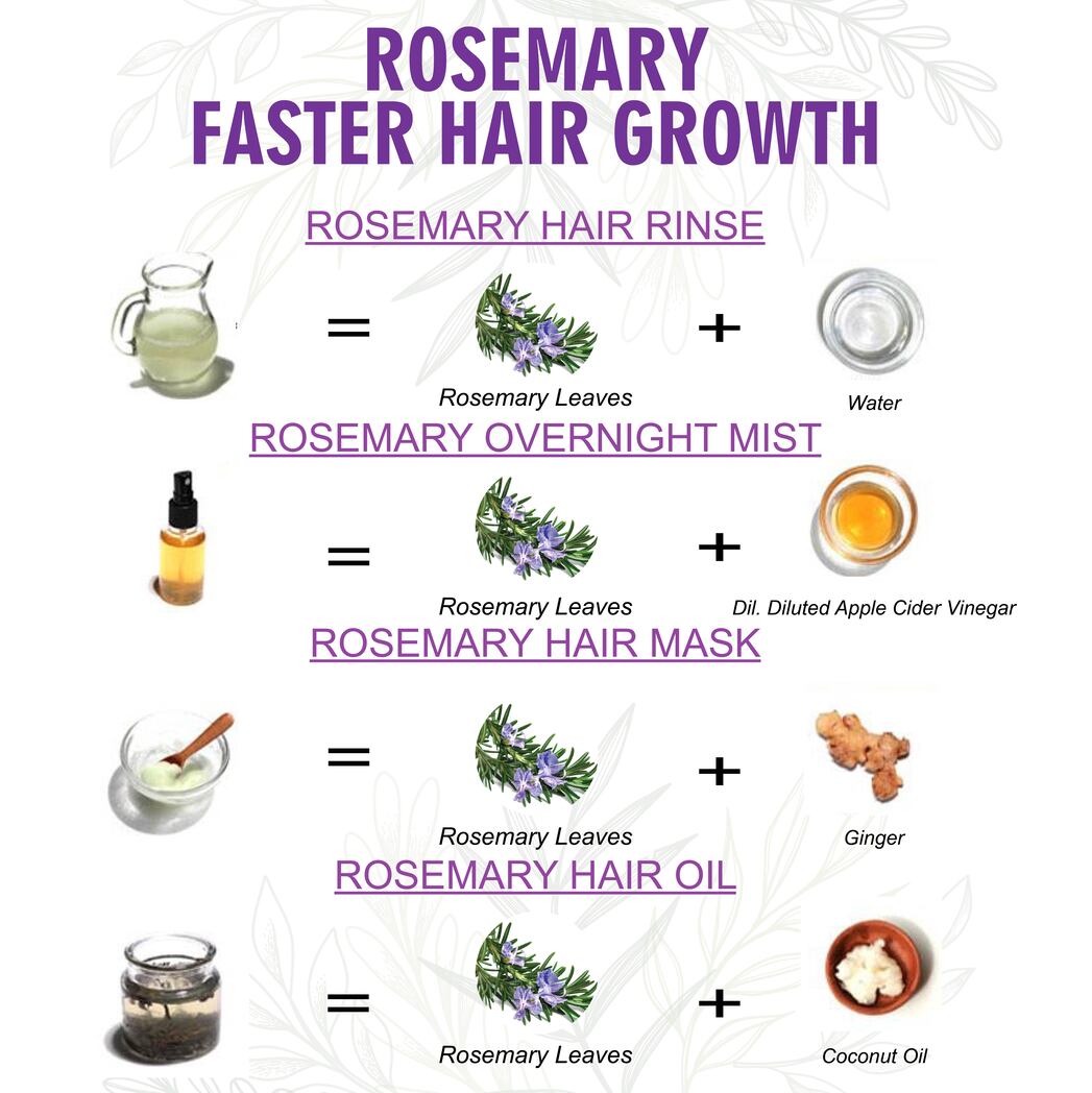 B1G1 Shuddh Natural Rosemary I Hair Growth I Tea I Skin - 85 Grams