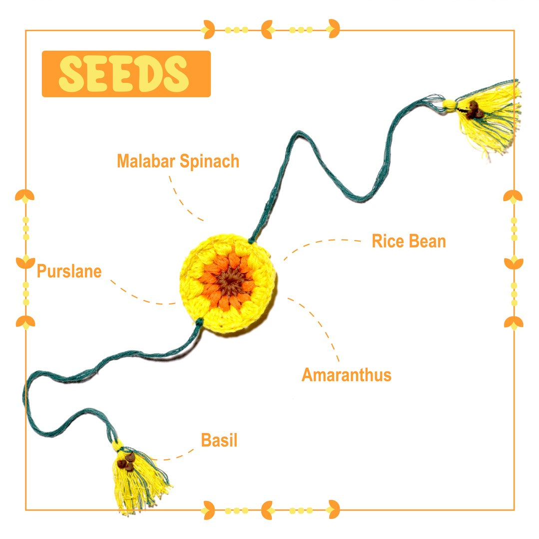 Sunflower - PLANTABLE I ECO FRIENDLY RAKHI EMBEDDED WITH SEEDS