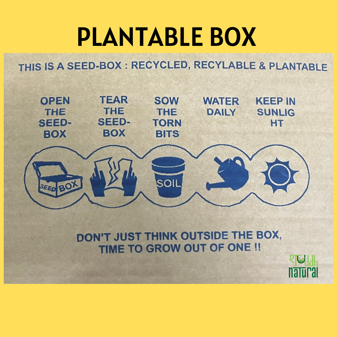 Shuddh Natural Plantable Seed Shapes with Seed Box, Set of 5