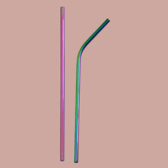 ONEarth Stainless Steel Straws With Cleaner - Rainbow (1 ST+1 Bend)