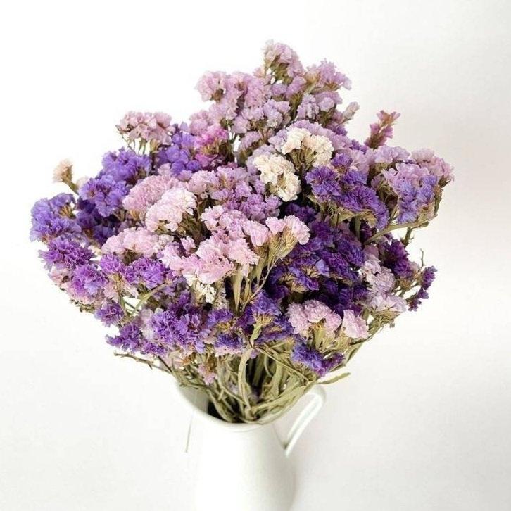 Statice Bunch Dried Flowers | Decorative Vase Filler | ArteCasa