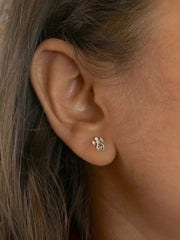 Sterling Silver Turtle Earrings For Her