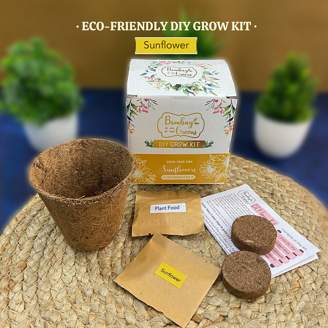 Bombay Greens Eco-Friendly Grow Kit - Sunflower