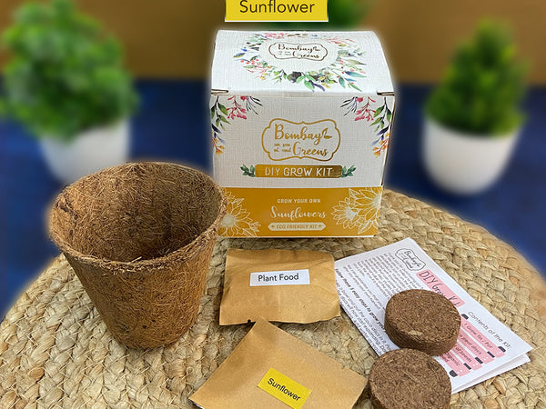Bombay Greens Eco-Friendly Grow Kit - Sunflower