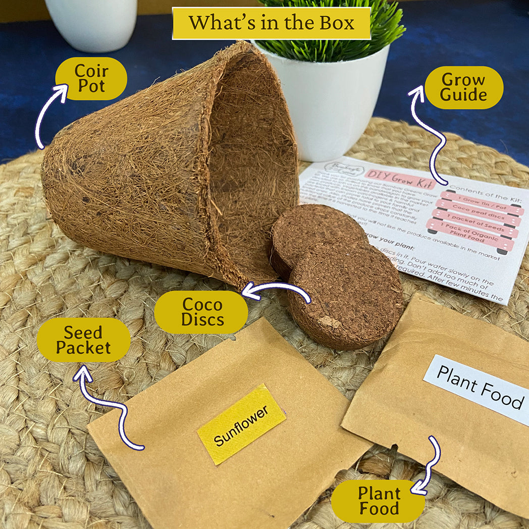 Bombay Greens Eco-Friendly Grow Kit - Sunflower