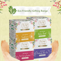 Bombay Greens Eco-Friendly Grow Kit - Sunflower