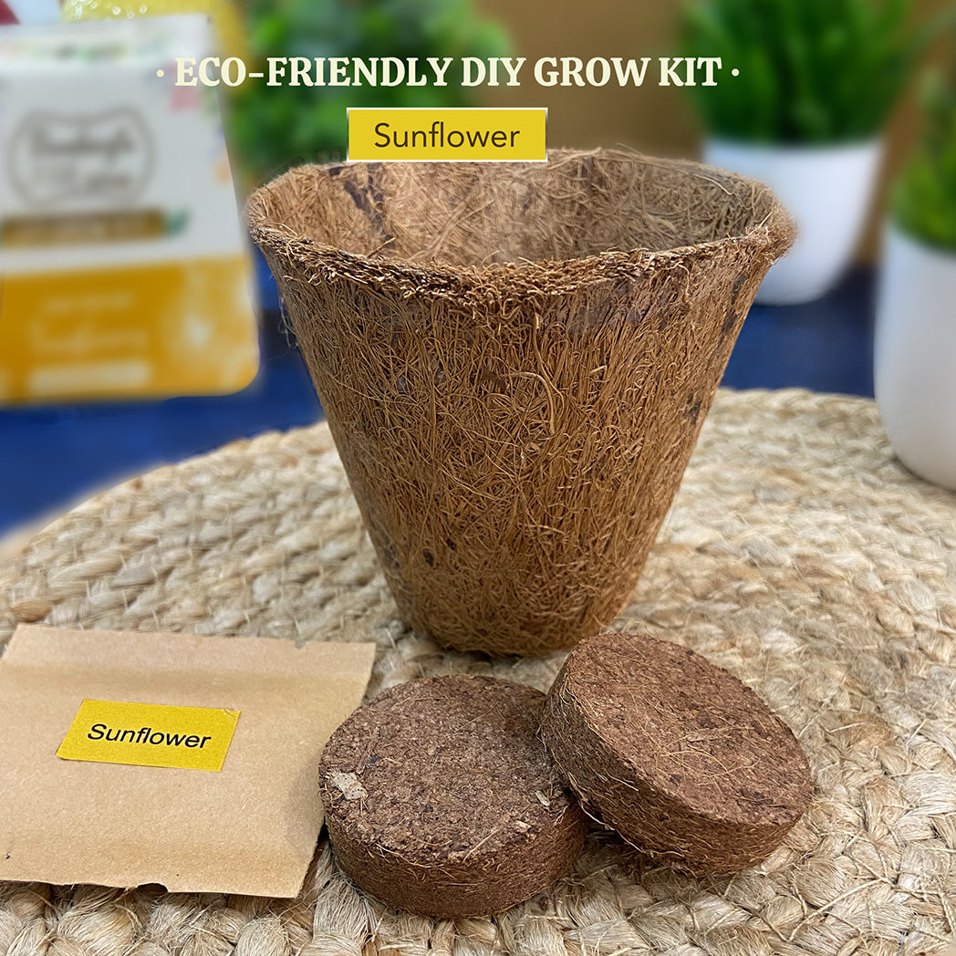 Bombay Greens Eco-Friendly Grow Kit - Sunflower
