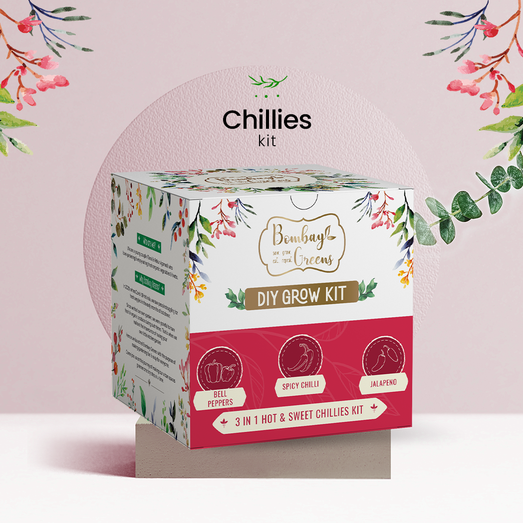 Bombay Greens Chillies Kit – Grow Spicy Green, Jalapeno, Bell Peppers
