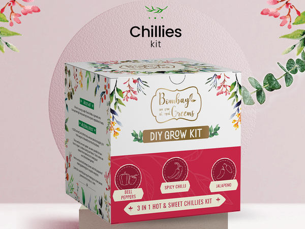 Bombay Greens Chillies Kit – Grow Spicy Green, Jalapeno, Bell Peppers