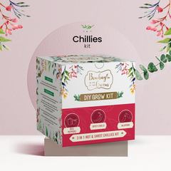 Bombay Greens Chillies Kit – Grow Spicy Green, Jalapeno, Bell Peppers