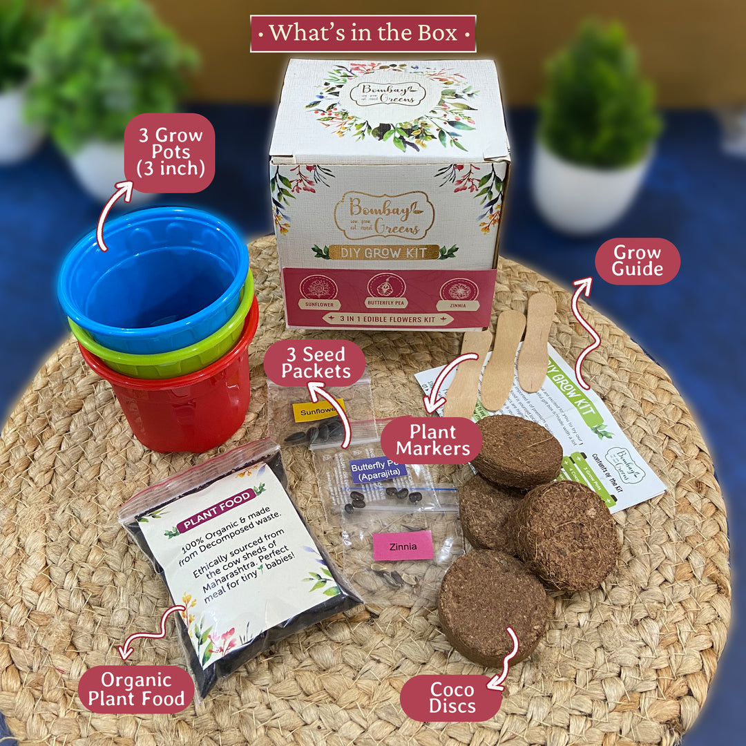 Bombay Greens Edible Flowers Kit - Sunflower, Zinnia, Butterfly Pea