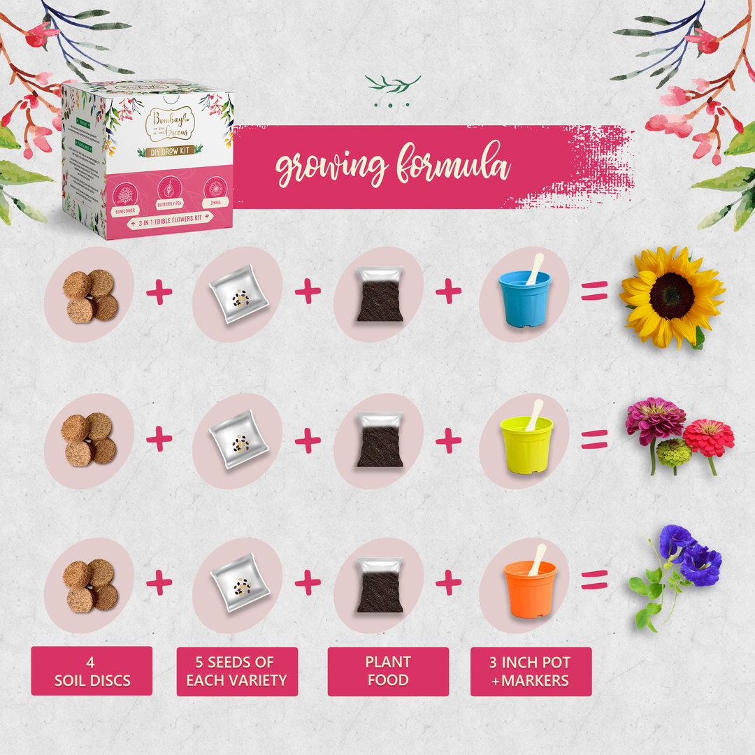 Bombay Greens Edible Flowers Kit - Sunflower, Zinnia, Butterfly Pea