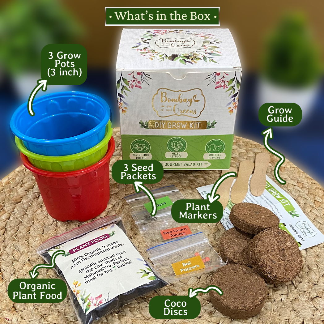 Bombay Greens Salad Kit - Bell Peppers, Lettuce, Red Cherry Tomato