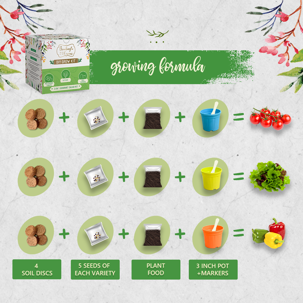Bombay Greens Salad Kit - Bell Peppers, Lettuce, Red Cherry Tomato