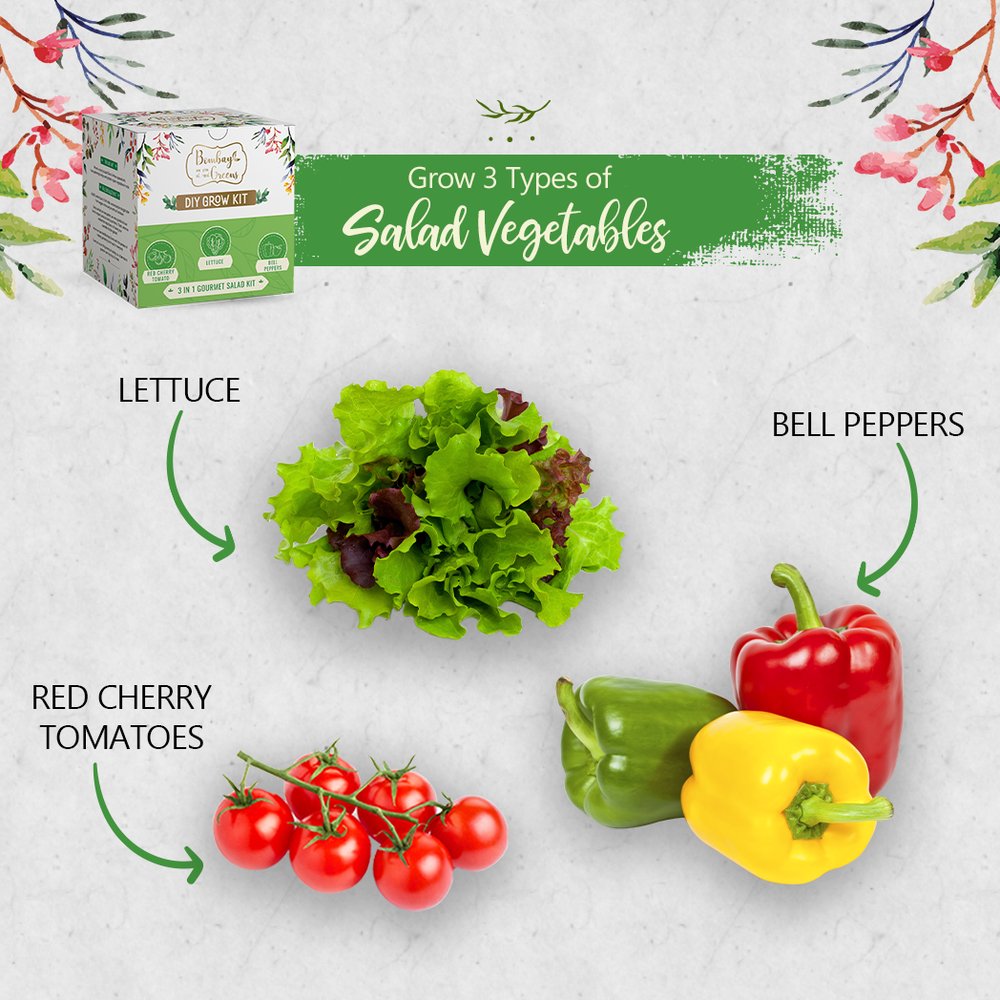 Bombay Greens Salad Kit - Bell Peppers, Lettuce, Red Cherry Tomato
