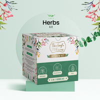 Bombay Greens Herbs Kit - Italian Basil, Dill, Oregano
