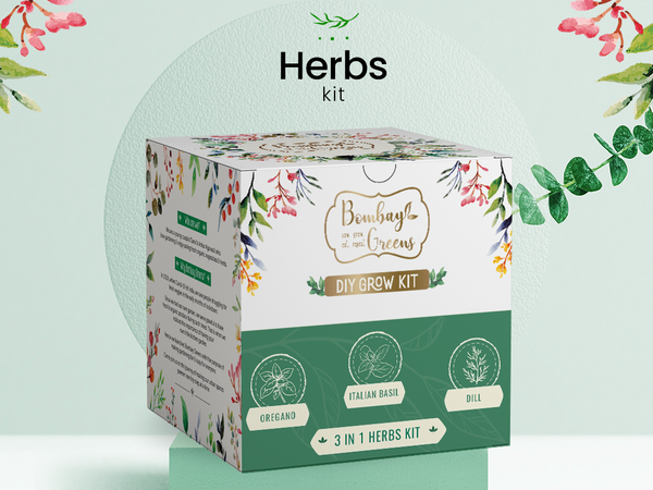 Bombay Greens Herbs Kit - Italian Basil, Dill, Oregano