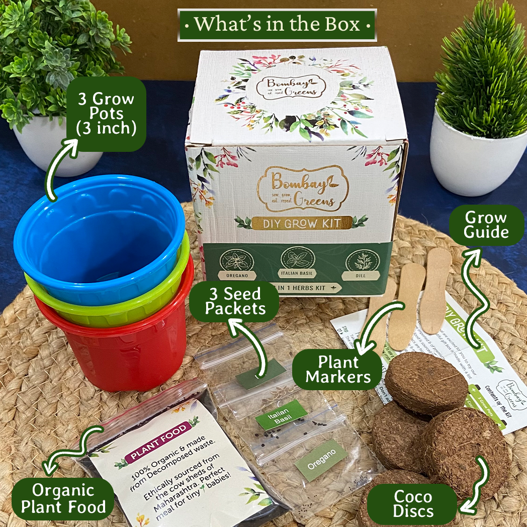Bombay Greens Herbs Kit - Italian Basil, Dill, Oregano