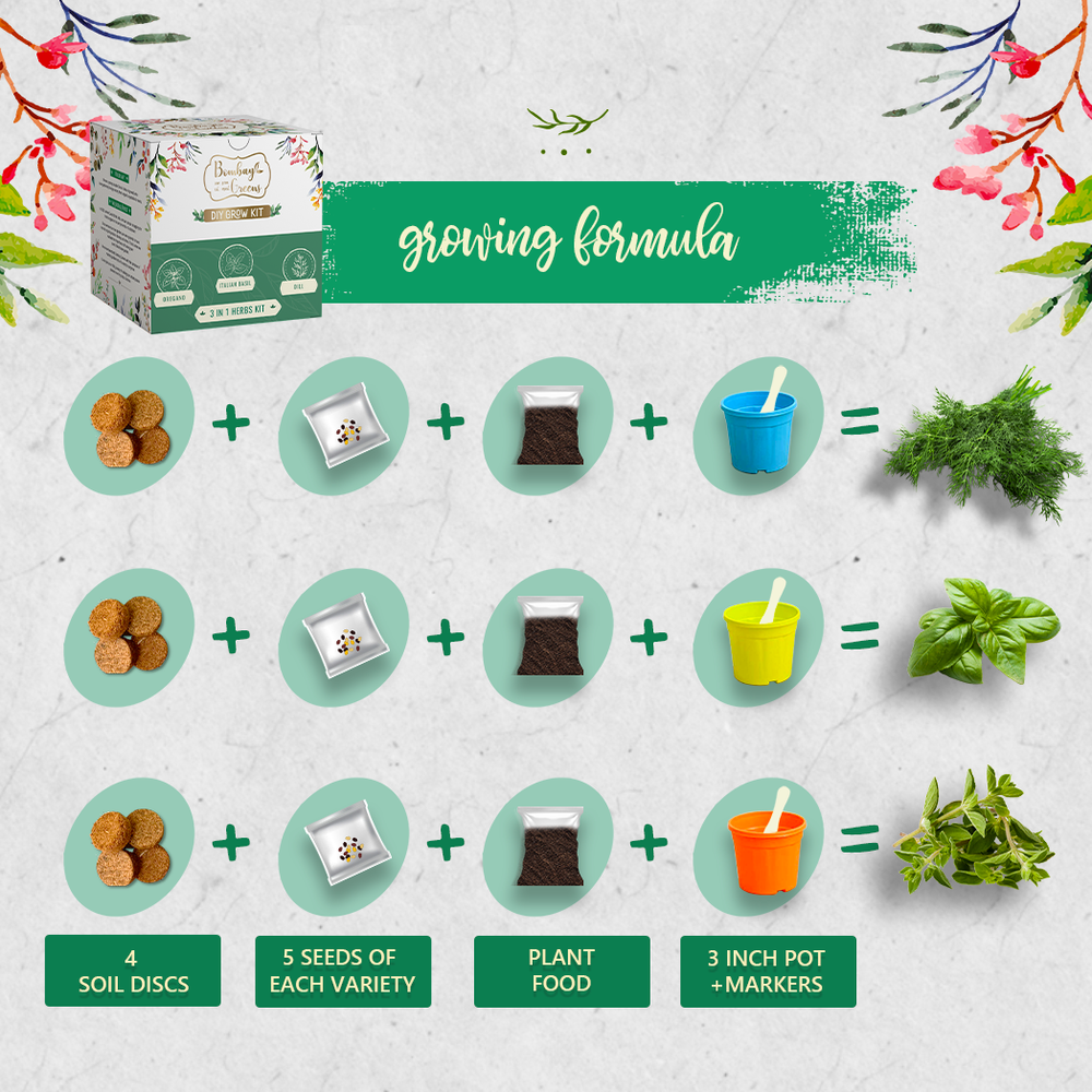 Bombay Greens Herbs Kit - Italian Basil, Dill, Oregano