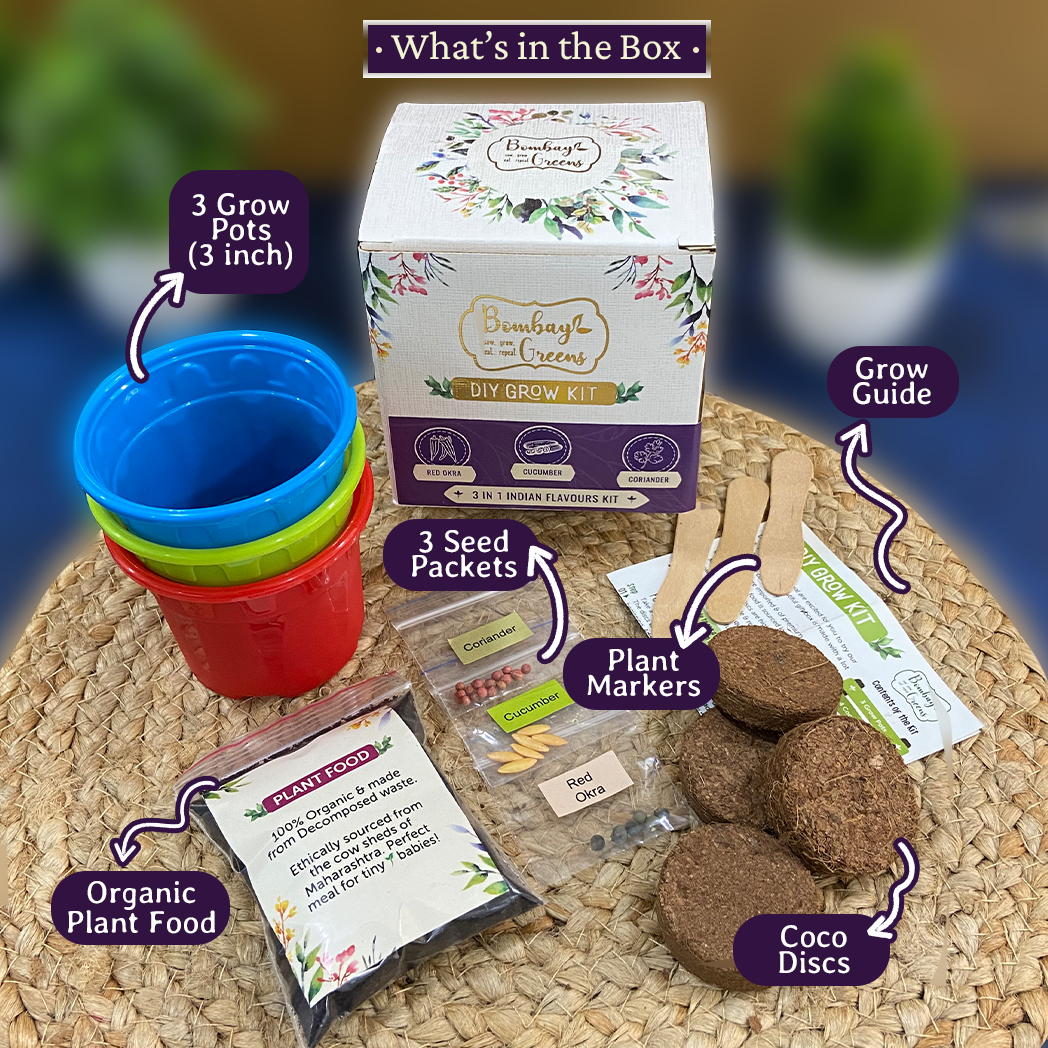 Bombay Greens Flavours of India Kit - Red Okra, Cucumber, Coriander