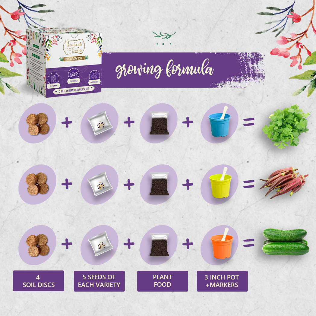 Bombay Greens Flavours of India Kit - Red Okra, Cucumber, Coriander