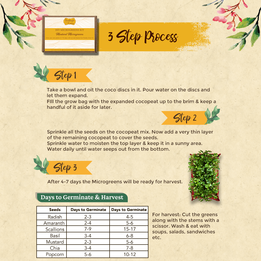 Bombay Greens DIY Microgreens Eco-Friendly Kit - Mustard
