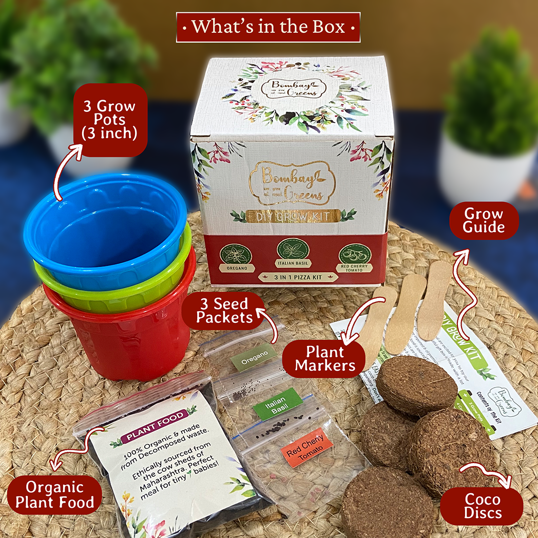 Bombay Greens Pizza Kit - Italian Basil, Oregano, Red Cherry Tomatoes