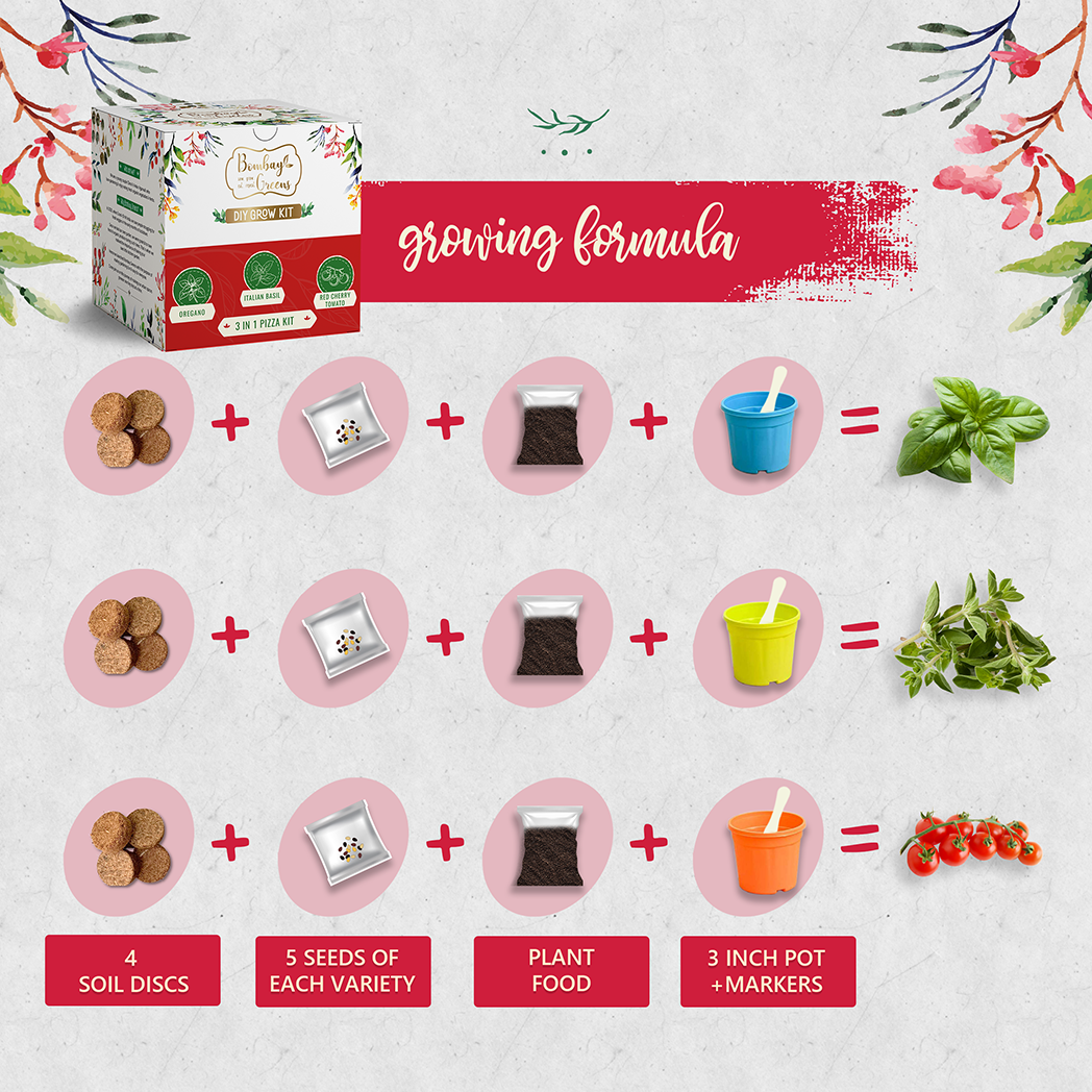 Bombay Greens Pizza Kit - Italian Basil, Oregano, Red Cherry Tomatoes