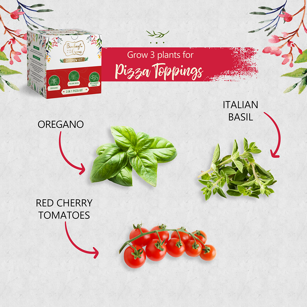Bombay Greens Pizza Kit - Italian Basil, Oregano, Red Cherry Tomatoes