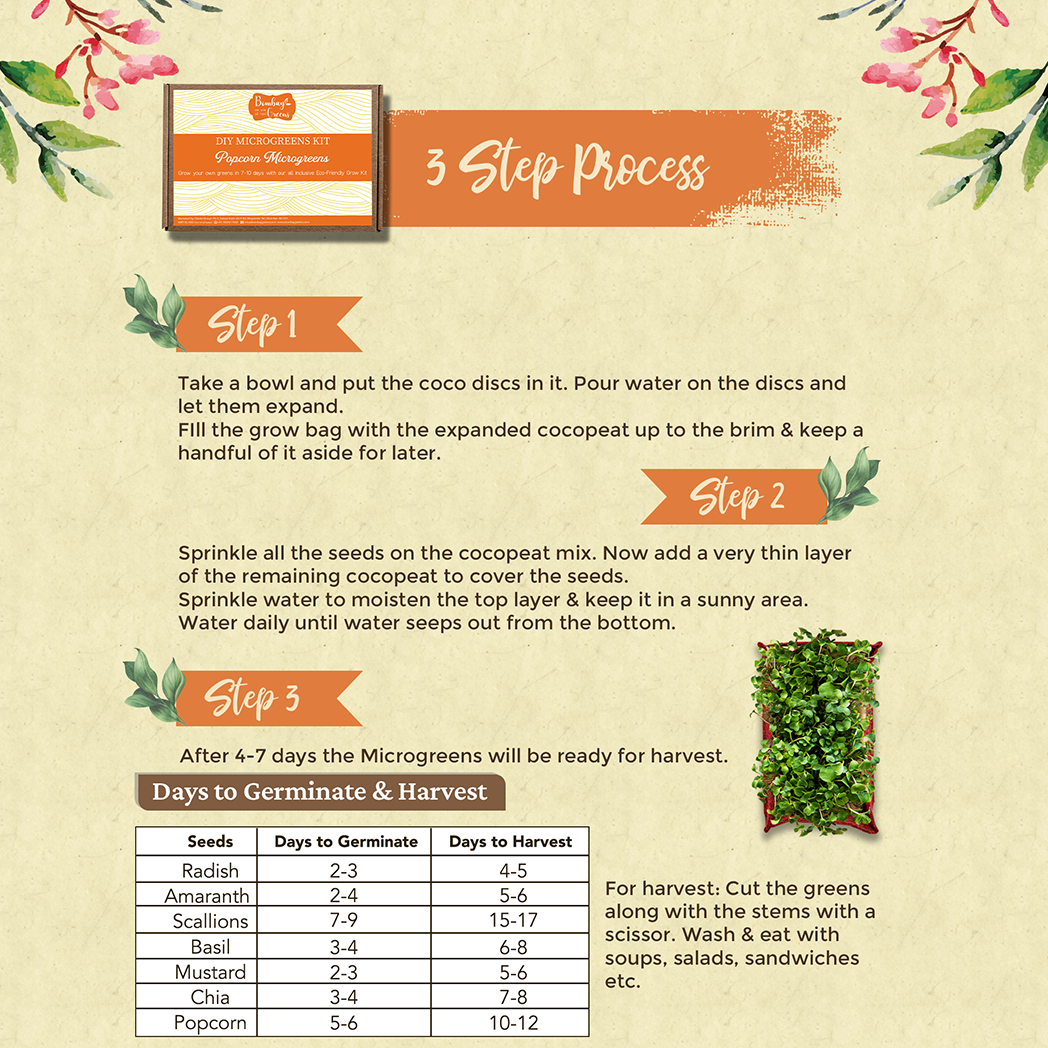 Bombay Greens DIY Microgreens Eco-Friendly Kit - Popcorn