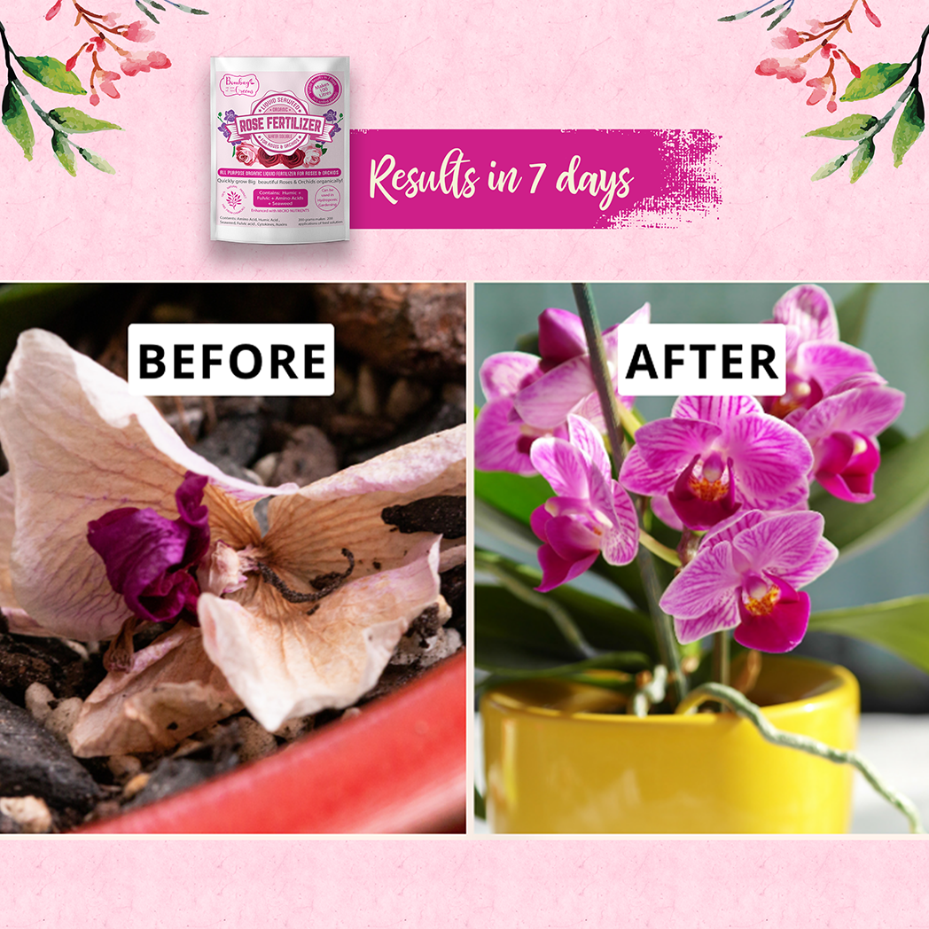 Bombay Greens Liquid Organic Fertilizer for Roses & Orchids - 200 Grams