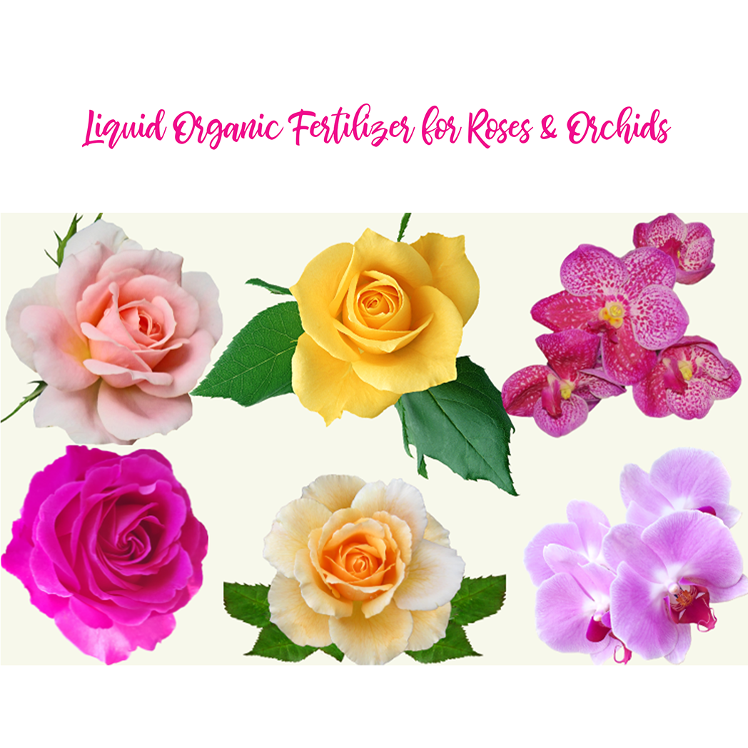 Bombay Greens Liquid Organic Fertilizer for Roses & Orchids - 200 Grams