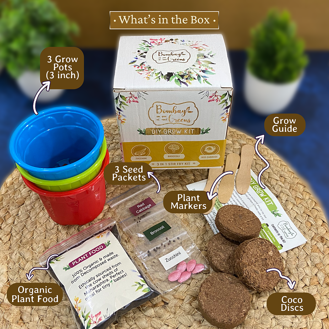Bombay Greens Stir Fry Kit - Zucchini, Broccoli, Red Cabbage