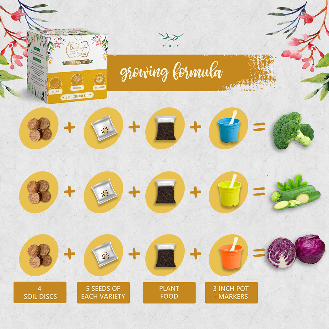 Bombay Greens Stir Fry Kit - Zucchini, Broccoli, Red Cabbage