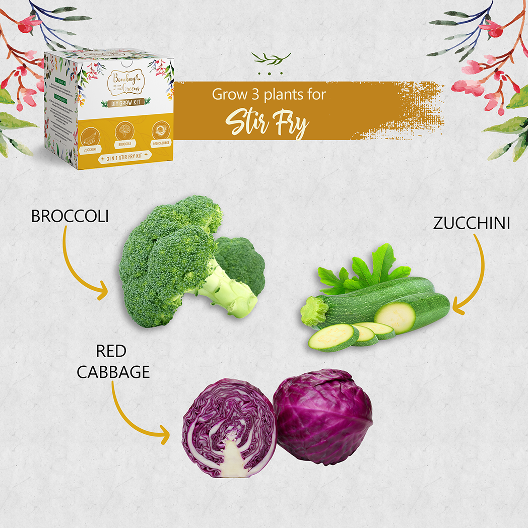 Bombay Greens Stir Fry Kit - Zucchini, Broccoli, Red Cabbage