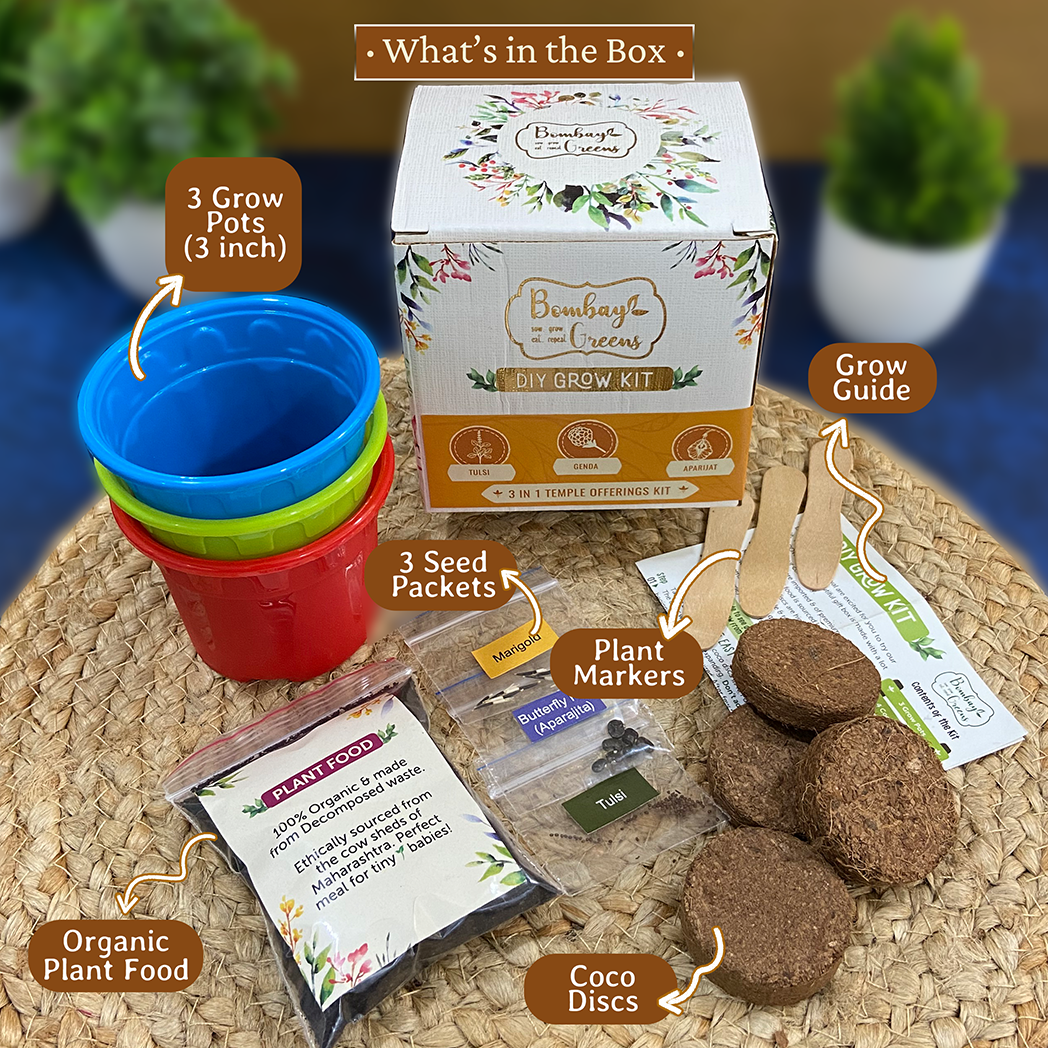 Bombay Greens Temple Offerings Kit - Tulsi, Genda, Aparajita
