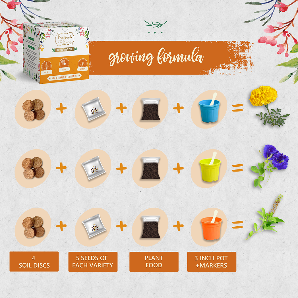 Bombay Greens Temple Offerings Kit - Tulsi, Genda, Aparajita