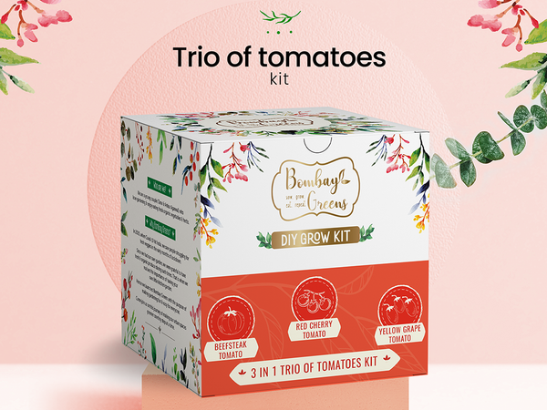 Bombay Greens Tomato Kit – Grow Beefsteak, Red Cherry, Yellow Grape