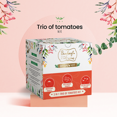 Bombay Greens Tomato Kit – Grow Beefsteak, Red Cherry, Yellow Grape