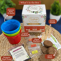 Bombay Greens Tomato Kit – Grow Beefsteak, Red Cherry, Yellow Grape