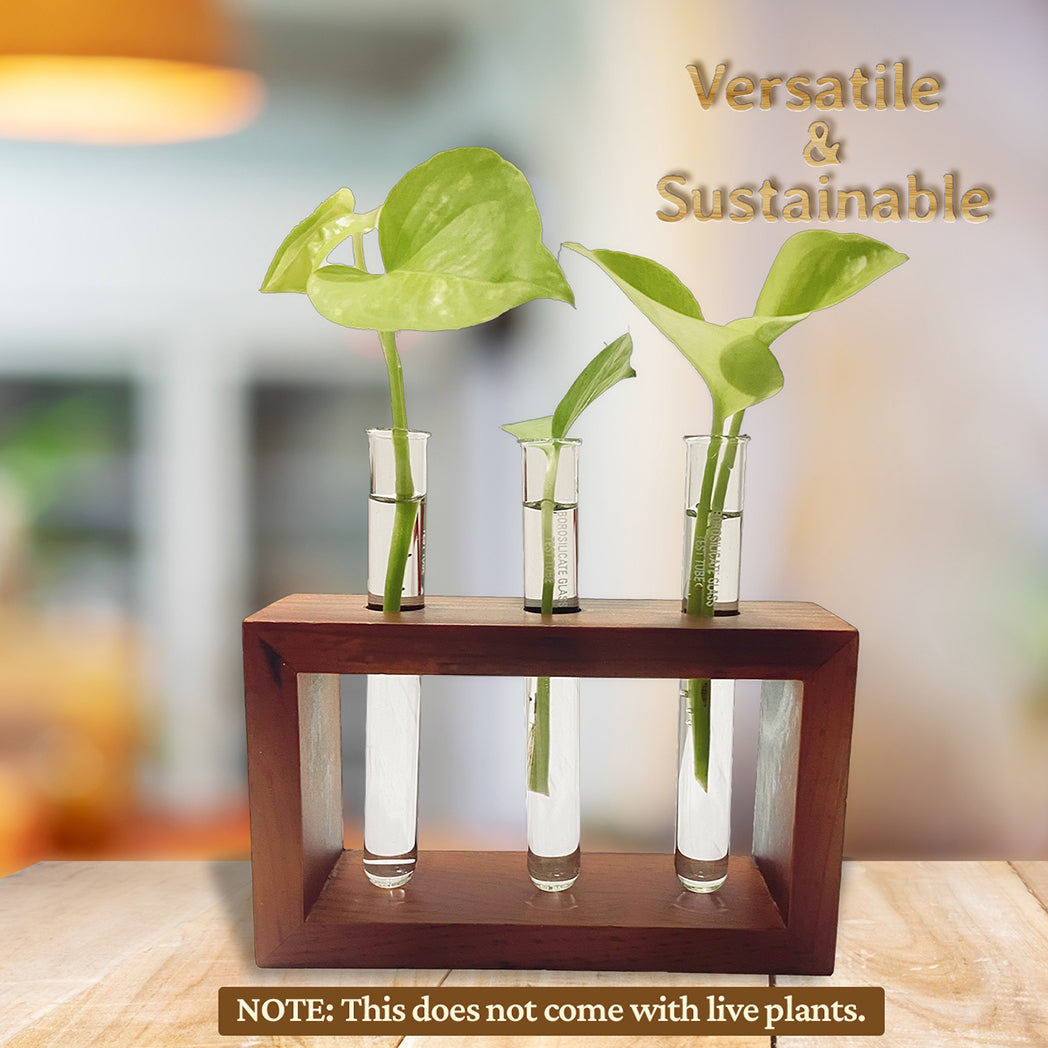 Bombay Greens Test Tube Planter with Wooden Holder